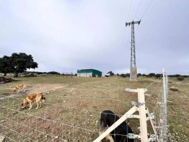 Terreno en venta en Cillán, Ávila