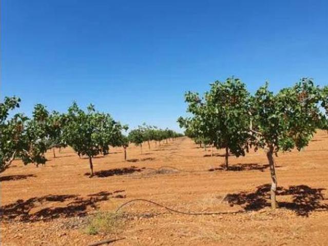 Terreno en venta en Puerta de Toledo, Cobisa