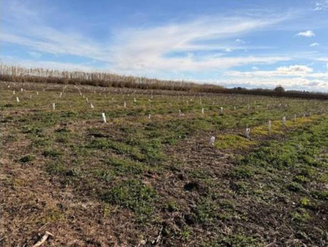 Terreno en venta en Corbins, Lleida