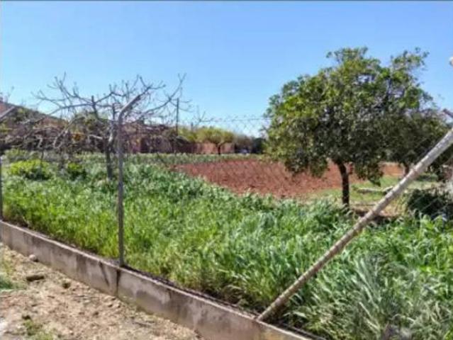 Terreno en venta en El Alcaide, Córdoba