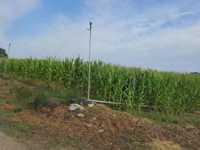 Terreno en venta en Coreses, Zamora