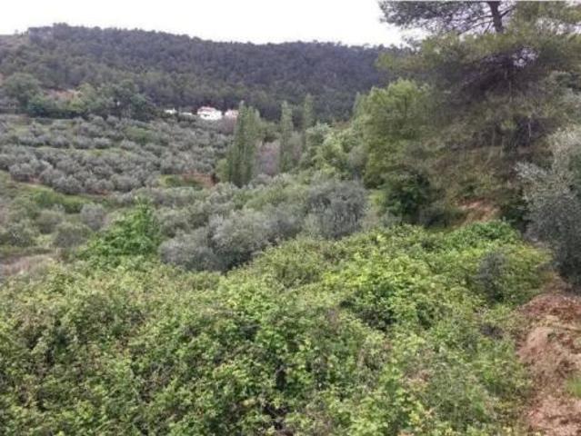 Terreno en venta en Cotillas, Albacete
