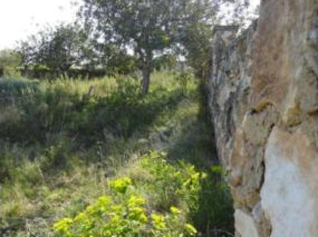 Terreno en venta en el Racó del Cèsar, Creixell