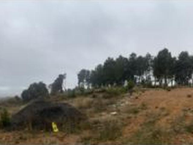 Terreno en venta en Lorenzana, Cuadros