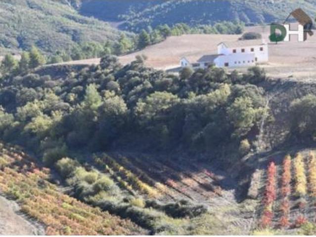 Terreno en venta en Villanueva de Los Escuderos, Cuenca