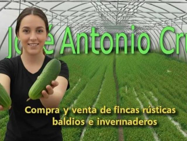 Terreno en venta en Dalías, Almería