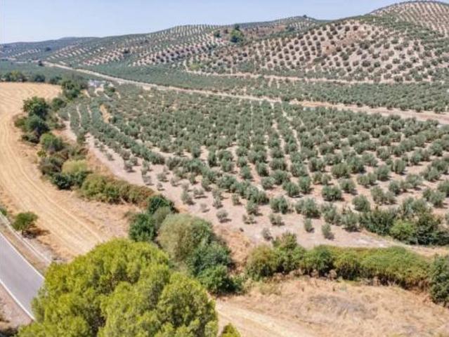 Terreno en venta en Deifontes, Granada