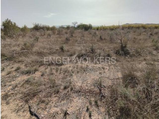Terreno en venta en Domeño Antiguo, Domeño