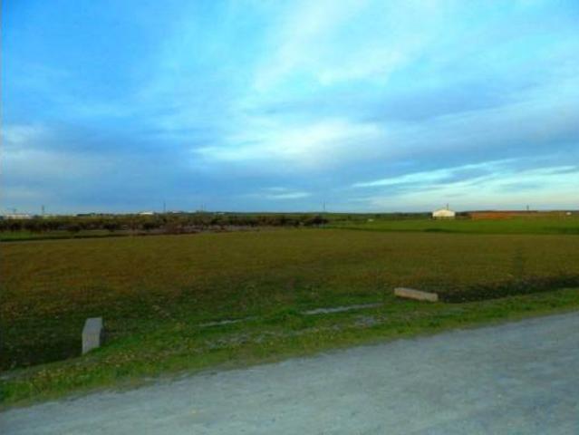 Terreno en venta en Urbanización Los Olivos, Don Benito