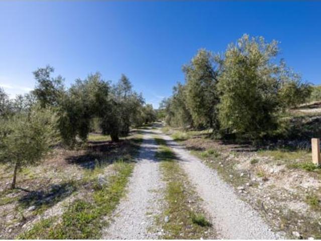 Terreno en venta en Urbanización La Moranja, Dúrcal