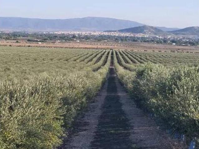 Terreno en venta en Astigi, Écija