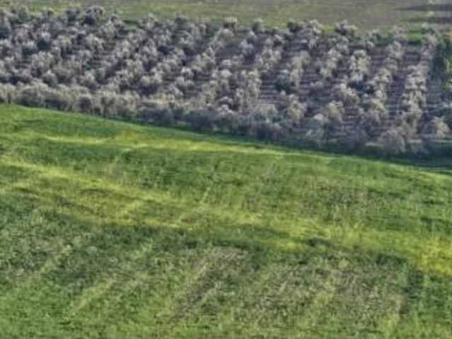 Terreno en venta en Écija, Sevilla
