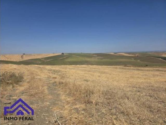 Terreno en venta en Villanueva del Rey, Écija