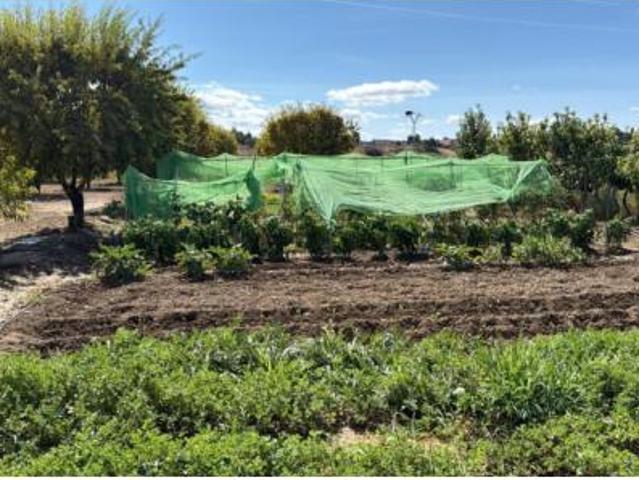 Terreno en venta en Ejea de los Caballeros, Zaragoza