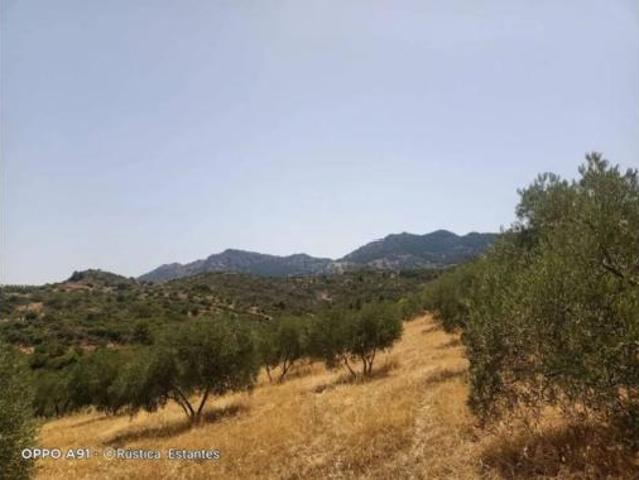 Terreno en venta en El Burgo, Málaga