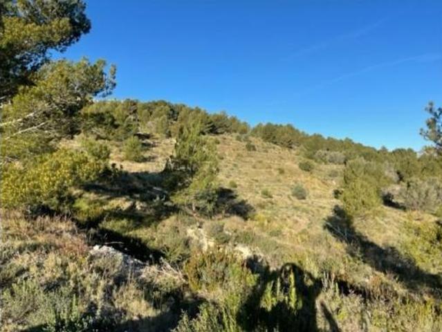 Terreno en venta en el Castell de Guadalest, Alacant / Alicante