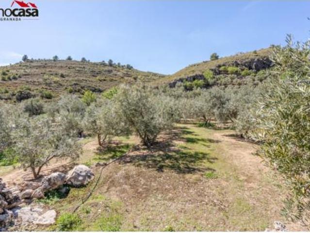 Terreno en venta en Ízbor, El Pinar