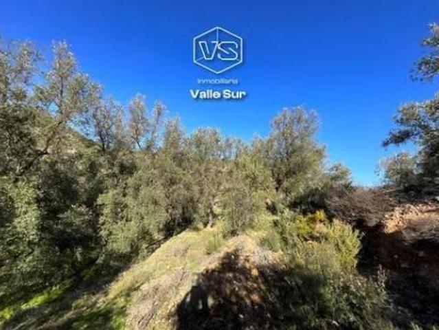 Terreno en venta en Pinos del Valle, El Pinar