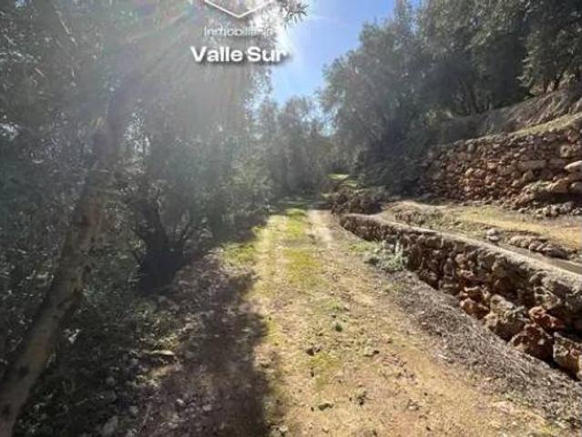 Terreno en venta en Pinos del Valle, El Pinar