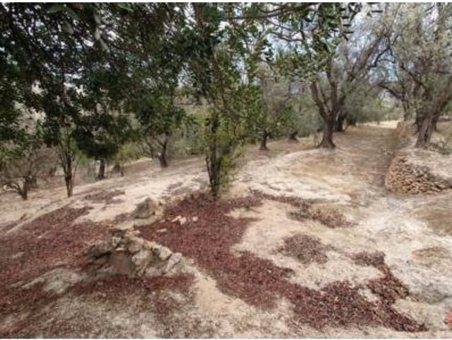 Terreno en venta en Pinos del Valle, El Pinar