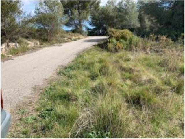 Terreno en venta en el Pla de Santa Maria, Tarragona