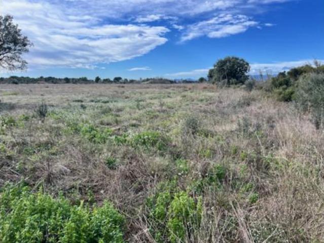 Terreno en venta en la Torre del Pitxo, el Pla de Santa Maria
