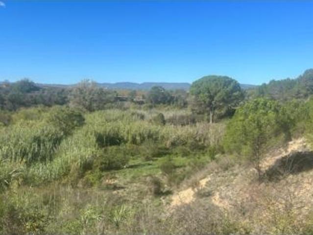 Terreno en venta en el Pla del Penedès, Barcelona