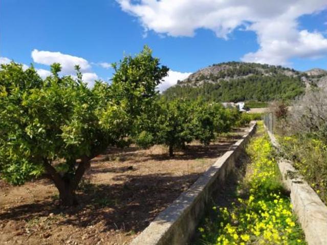 Terreno en venta en el Real de Gandia, València / Valencia