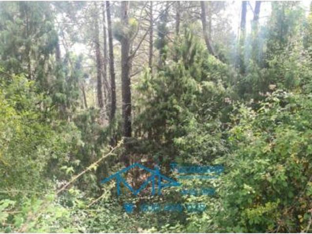 Terreno en venta en La Atalaya, El Tiemblo