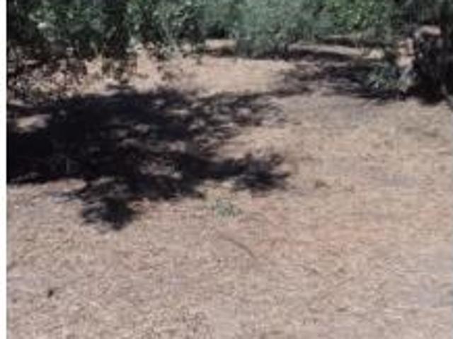Terreno en venta en El Torno, Cáceres