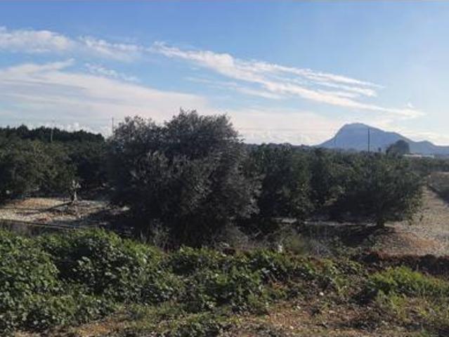 Terreno en venta en el Verger, Alacant / Alicante