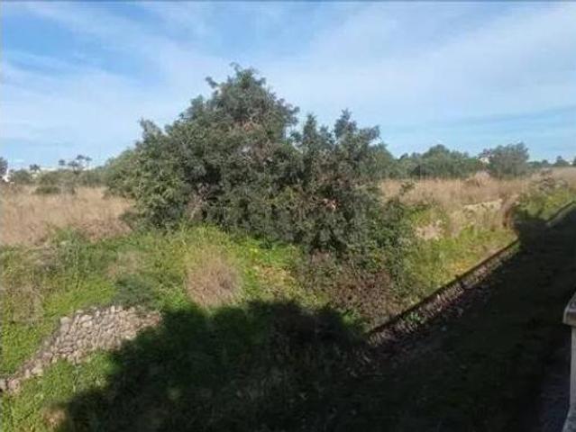 Terreno en venta en Partida Barranquets, el Verger