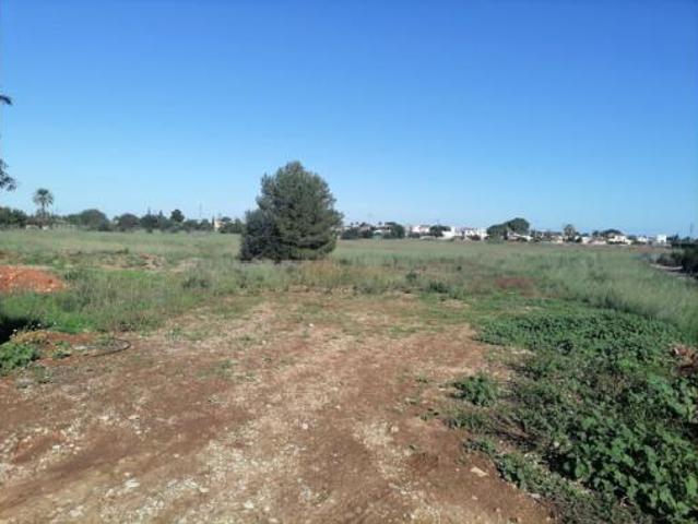 Terreno en venta en Polígon Industrial el Verger, el Verger