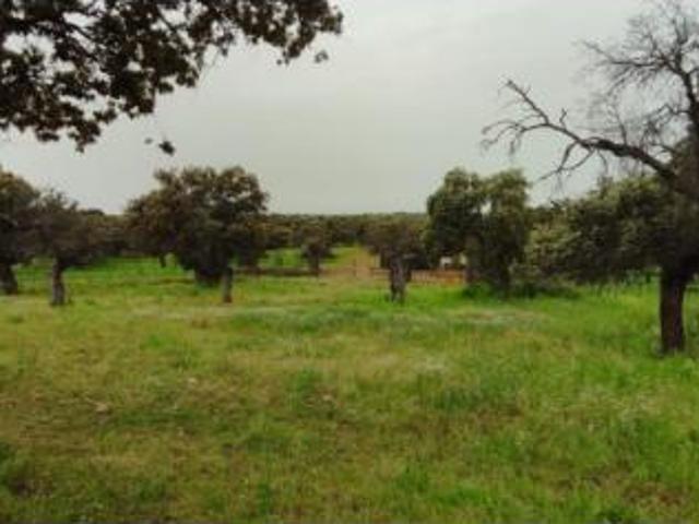 Terreno en venta en El Viso, Córdoba