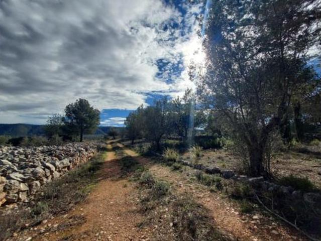 Terreno en venta en Enguera, València / Valencia