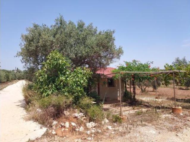 Terreno en venta en Enguera, València / Valencia