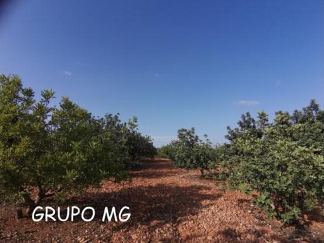 Terreno en venta en Jane Addams, Enguera
