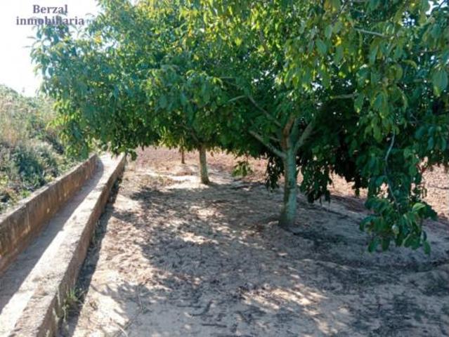 Terreno en venta en Entrena, La Rioja
