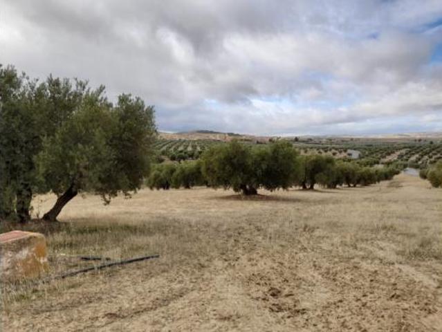 Terreno en venta en Escúzar, Granada