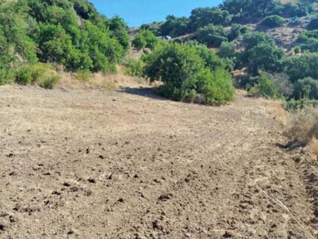Terreno en venta en Forest Hills, Estepona