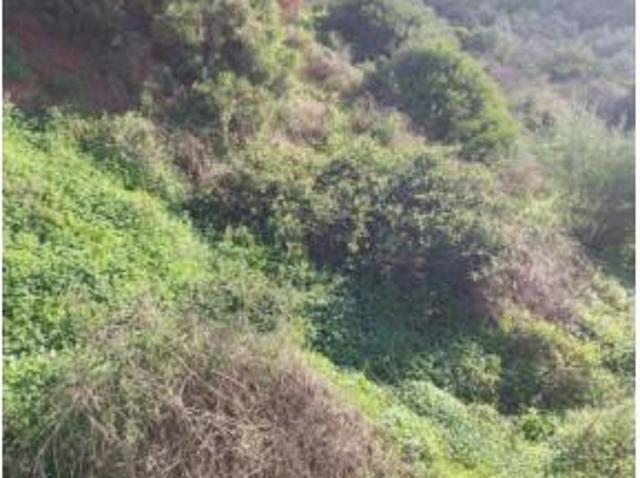 Terreno en venta en Sol Granados del Mar, Estepona
