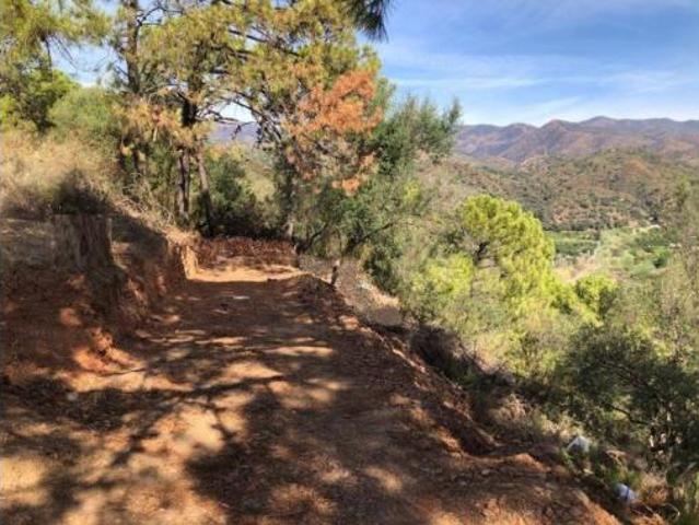 Terreno en venta en Forest Hills, Estepona