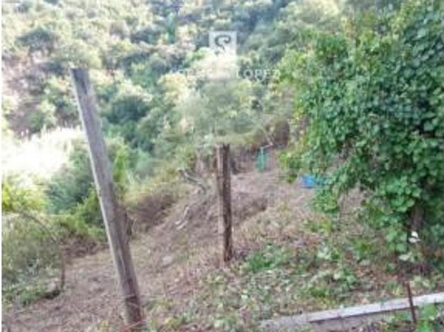 Terreno en venta en Forest Hills, Estepona