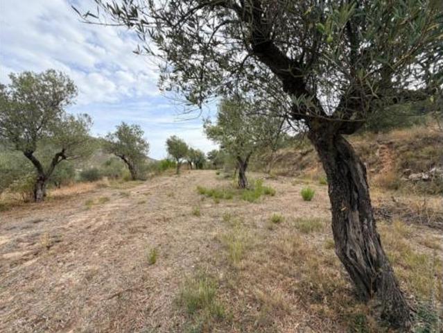 Terreno en venta en Fageca, Alacant / Alicante