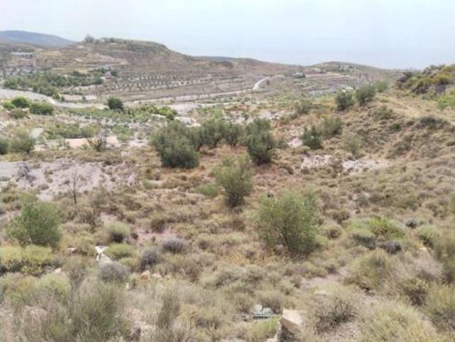 Terreno en venta en Felix, Almería