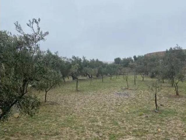 Terreno en venta en Fiñana, Almería