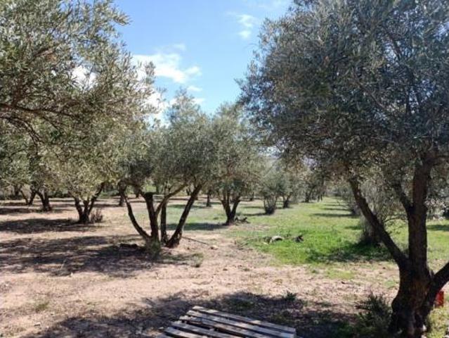 Terreno en venta en Fondón, Almería