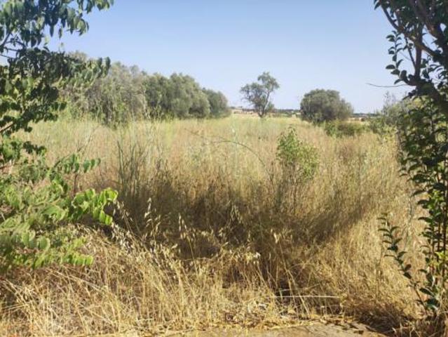 Terreno en venta en Fonz, Huesca