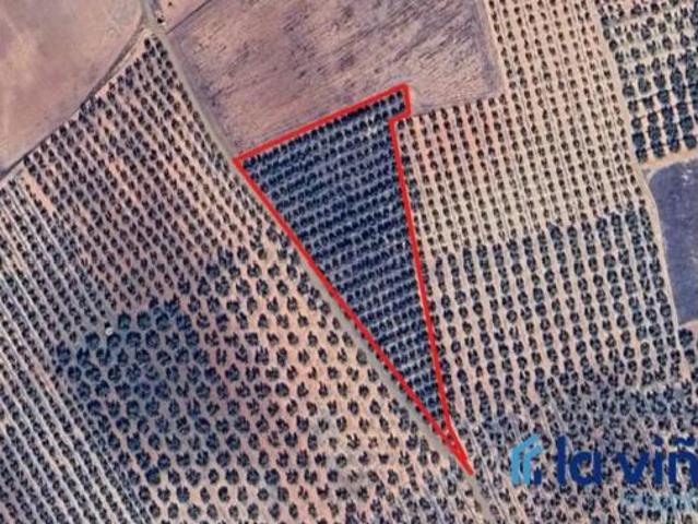 Terreno en venta en Fuente de Piedra, Málaga
