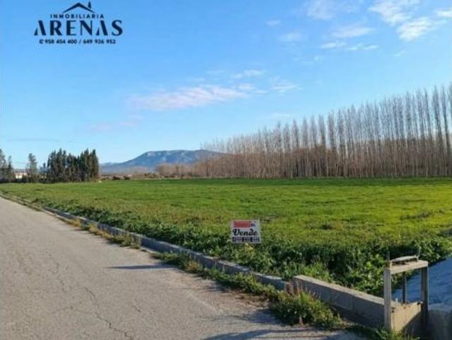 Terreno en venta en Fuente Vaqueros, Granada